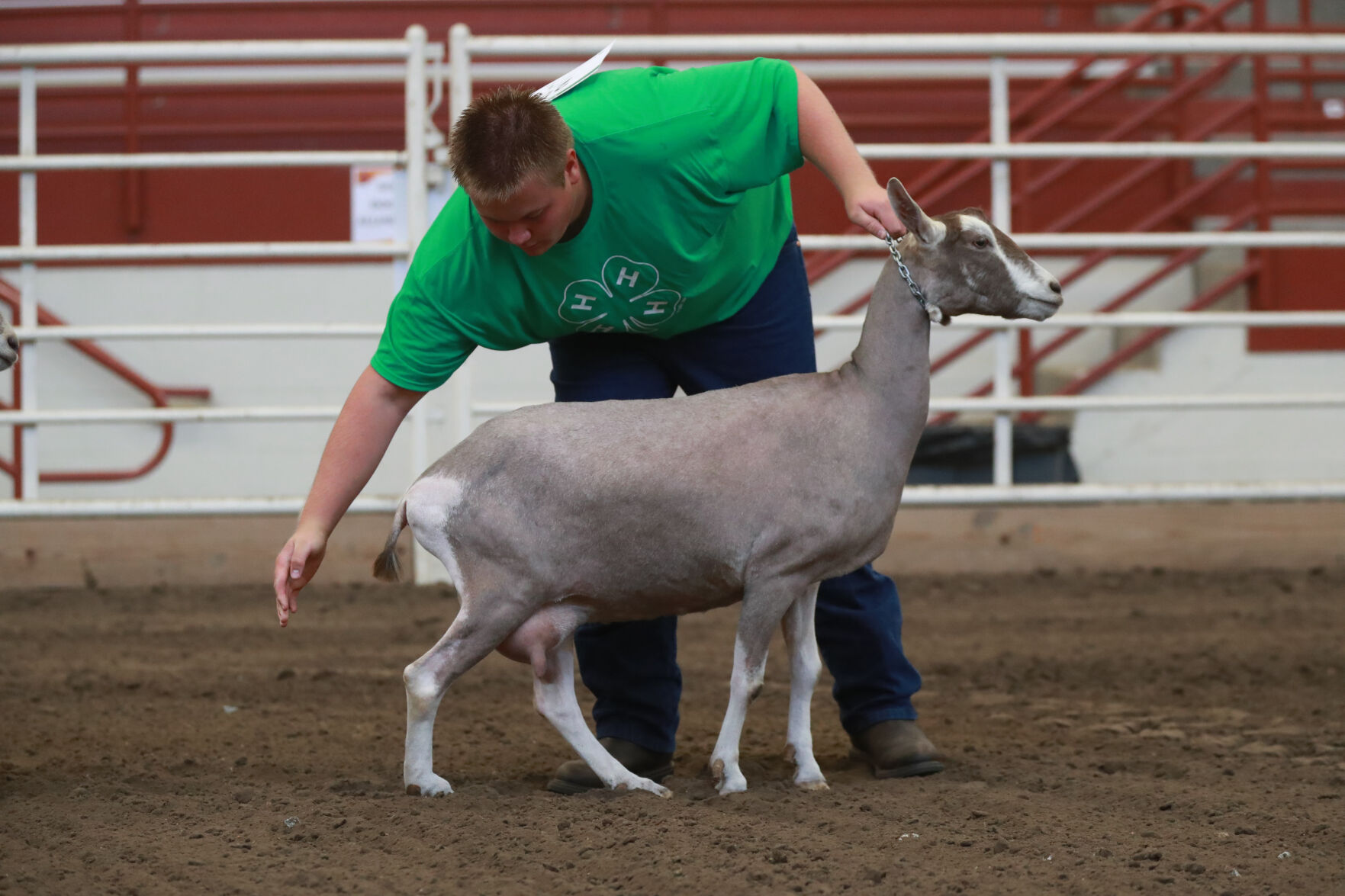 072320_HCFGoatShow003_bjs.JPG
